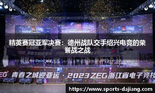 精英赛冠亚军决赛：德州战队交手绍兴电竞的荣誉战之战