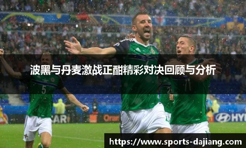 波黑与丹麦激战正酣精彩对决回顾与分析